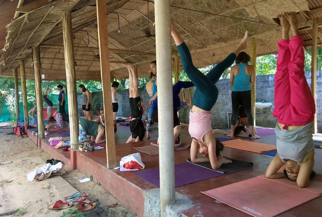 Sambodhi Yoga Retreat Bed & Breakfast Alappuzha